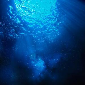 中国洞房电影免费观看2023年
