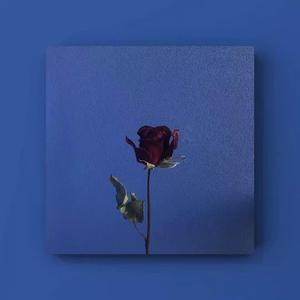 中国洞房电影免费观看2023年
