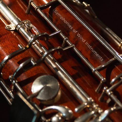 中国洞房电影免费观看2023年
