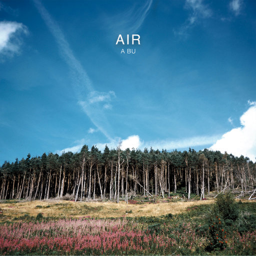 中国洞房电影免费观看2023年
